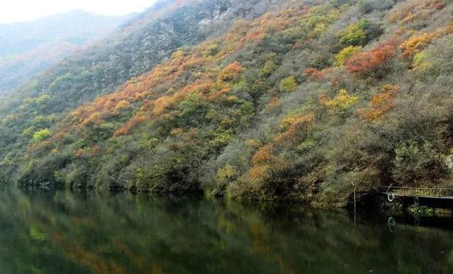 旅游攻略｜赏红叶倒计时！京西78公里“九寨沟”赏红看瀑布正是时候