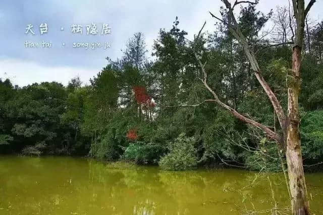 禅意天台，与自然界的对话……