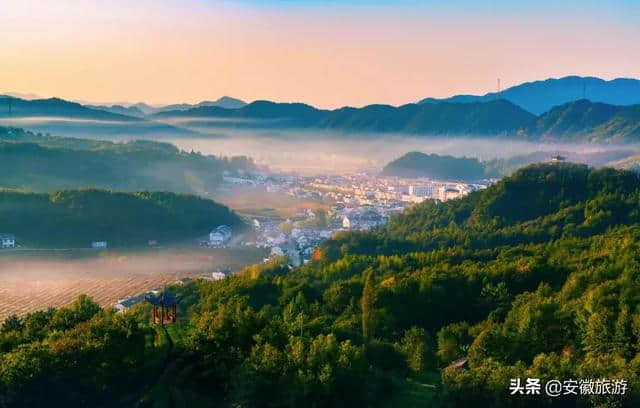 花已成海 天柱山喊你来赏花