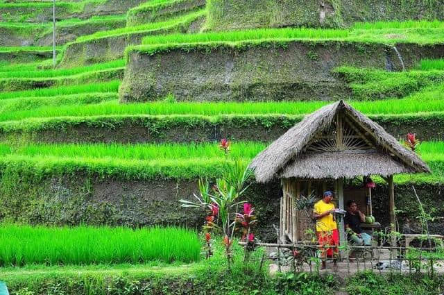 拥有岛屿最多，人间天堂菲律宾，一生值得去几次的旅游胜地