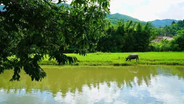 二月最值得去的国内旅行地，江浙沪首选第一处！