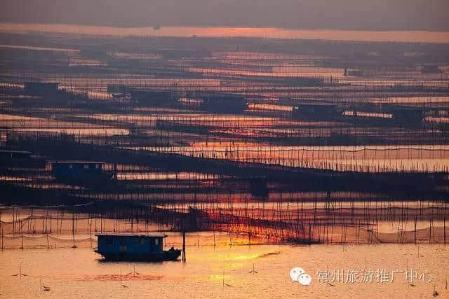 大新闻！数百位长三角最爱玩的人都去了金坛竟然是为了这个