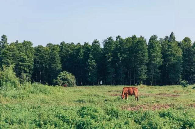 谁说四明山只有秋景美？当夏 宁波最美自驾环线公路游览攻略