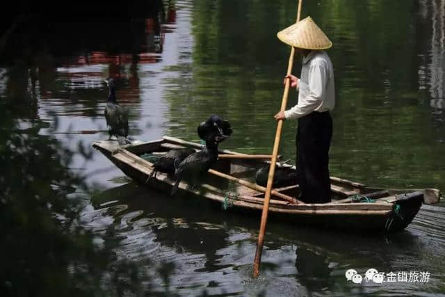 玩法‖湛蓝盛夏在枫泾的清凉玩法