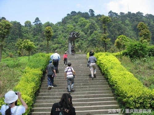 国庆长假重庆周边自驾游最牛线路