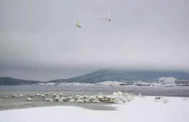 自在荣成，风景独好，冬季旅游“火”起来