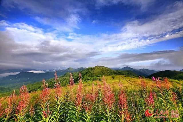 热热热！去主城周边这些绝美避暑景点凉快地呆着吧