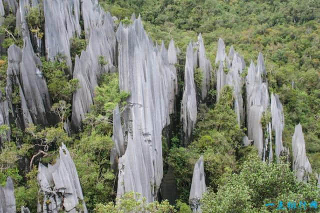 马来西亚十大最有特色的旅游景点，金马仑高原是马来西亚最古老的旅游目的地之一