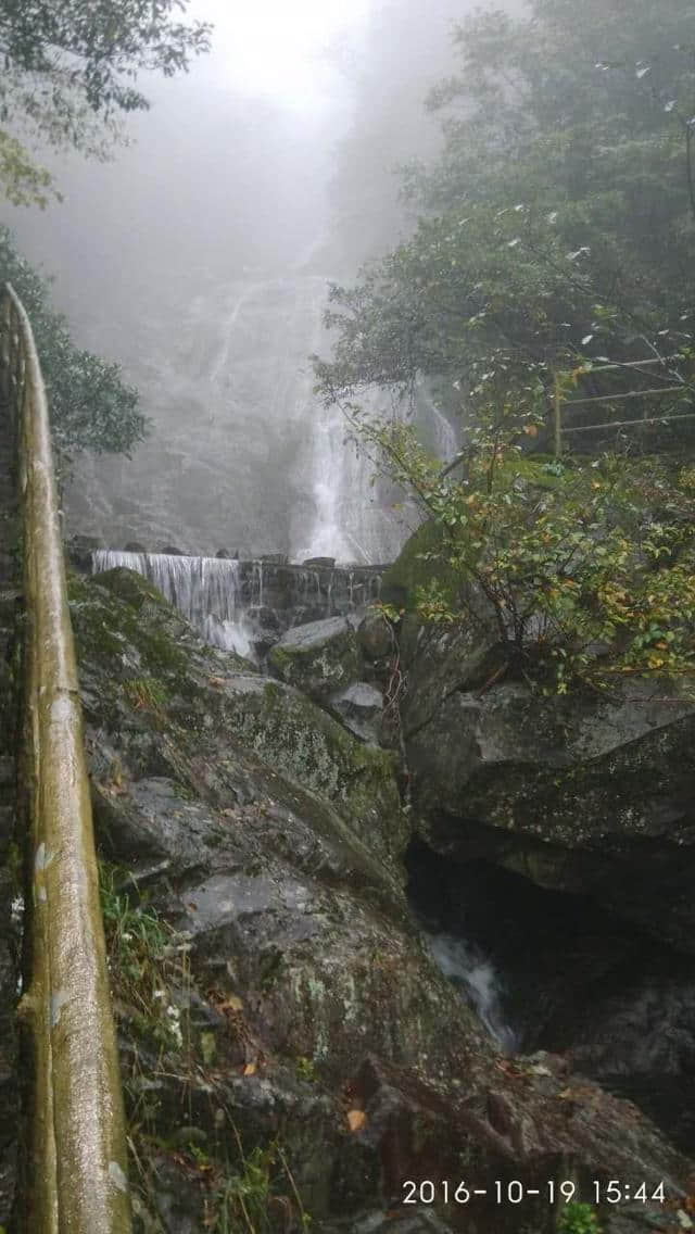 雨中游天目山