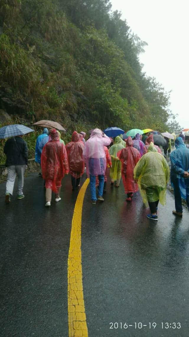 雨中游天目山