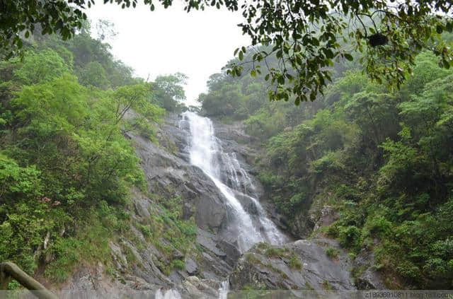 雨中游天目山