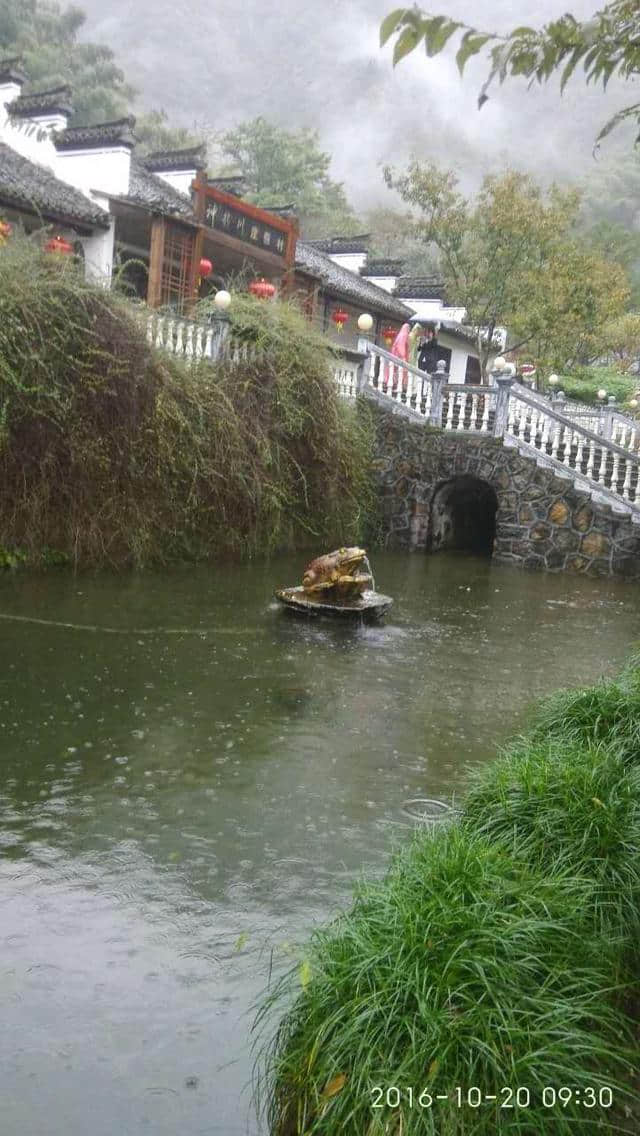 雨中游天目山