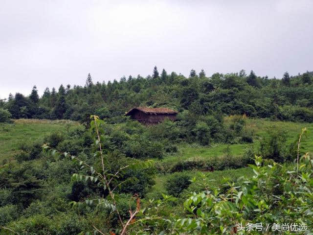 重庆仙女山好玩吗