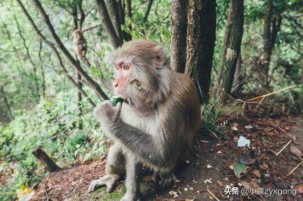 张家界旅游游玩全部景点大概需要花多少钱？