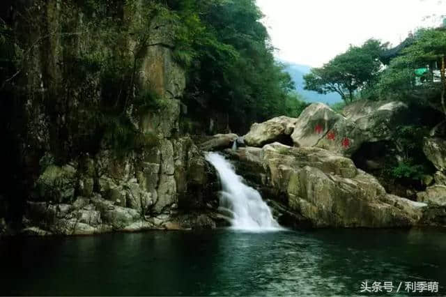 「透视旅行」天目山古树参天