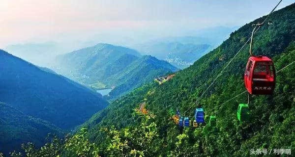 「透视旅行」天目山古树参天