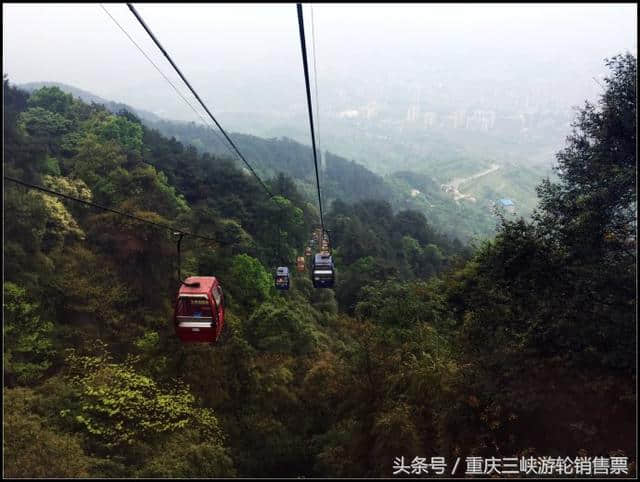 游玩重庆10个必去旅游胜地，去过5个算及格，你去了几个吗？