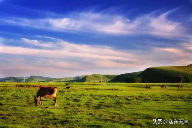 京津冀旅游攻略，天津附近有哪些旅游景点，带着你的她一块去吧！