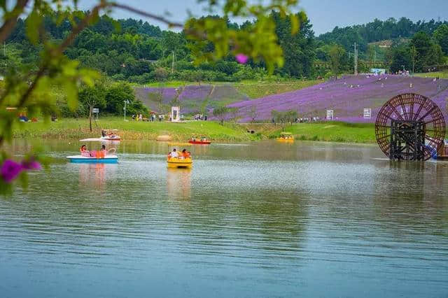 8月重庆这些旅行地，美得惊艳了时光