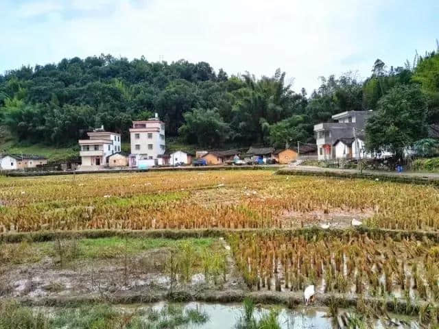 广东这个小县城，竟是泰国前总理的故乡，藏了这么多美景！