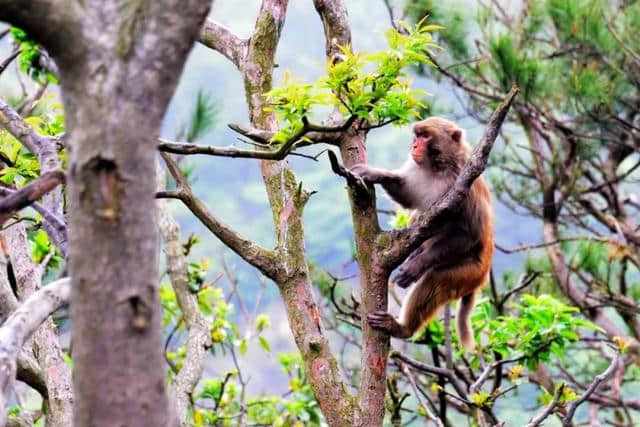 宁波九龙湖旅游度假区出游指南，找个周末来这里走走吧