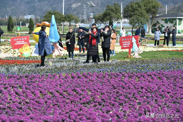 春天到了，送你一份舟山赏花地图