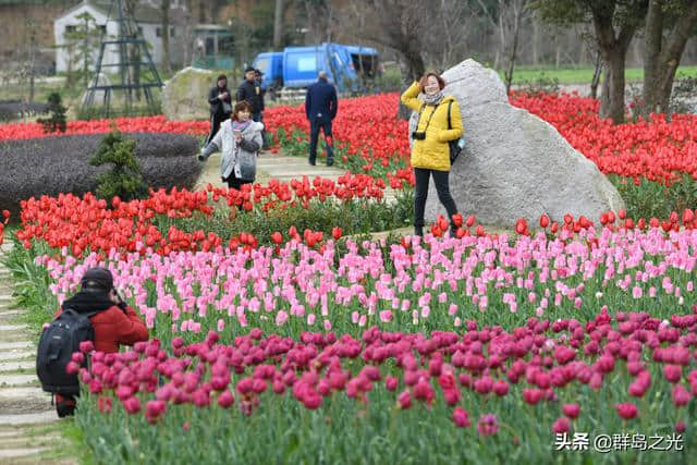 春天到了，送你一份舟山赏花地图