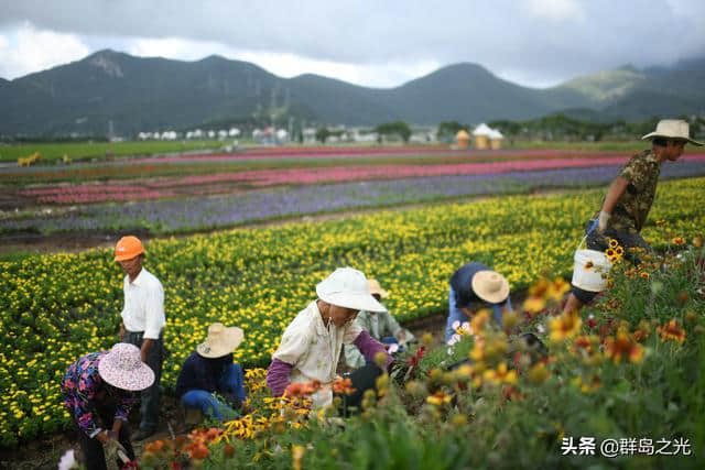 春天到了，送你一份舟山赏花地图