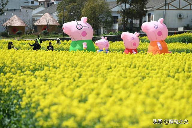 春天到了，送你一份舟山赏花地图