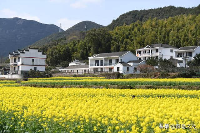 春天到了，送你一份舟山赏花地图