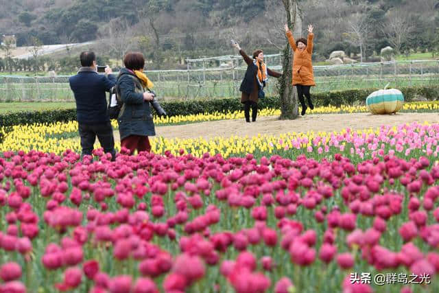 春天到了，送你一份舟山赏花地图