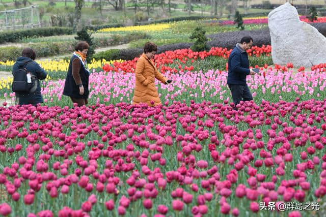 春天到了，送你一份舟山赏花地图