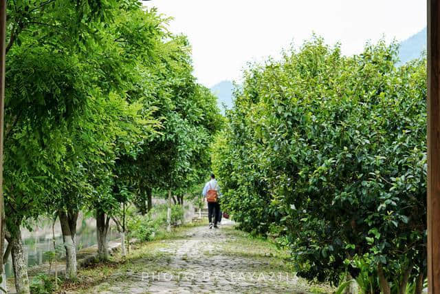 温州永嘉：市区出发1H，楠溪江上必去的核心景点——妞儿嬉游记