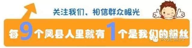 放价啦！5·19旅游日，凤县所有景区半价、免费，错过再等一年！