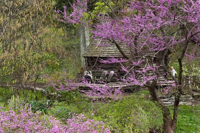 3月看看费城的花花世界