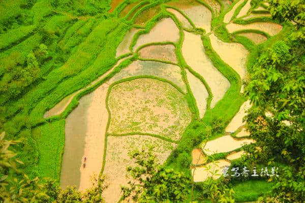 巴渝美景：走进重庆旅游的新景点武隆天坑寨子