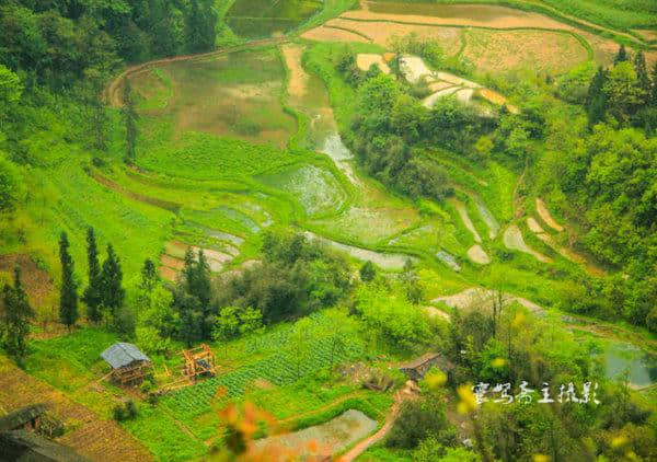 巴渝美景：走进重庆旅游的新景点武隆天坑寨子