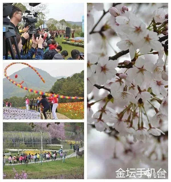 2019常州乡村旅游节暨春到茅山赏花季在花谷奇缘景区拉开帷幕