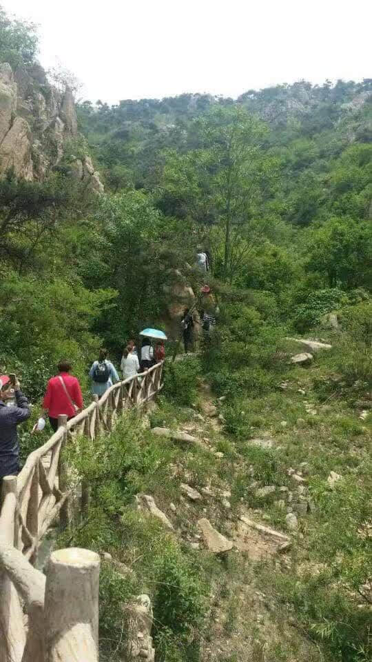 首届天马岛登山节盛大开幕，1000余人参加