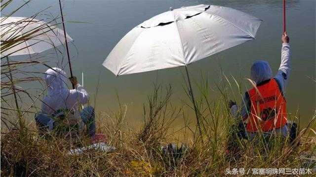 天津农家院旅游｜蓟县环秀湖军荣农家院朝看秀湖晨曦，暮随夕阳唱晚