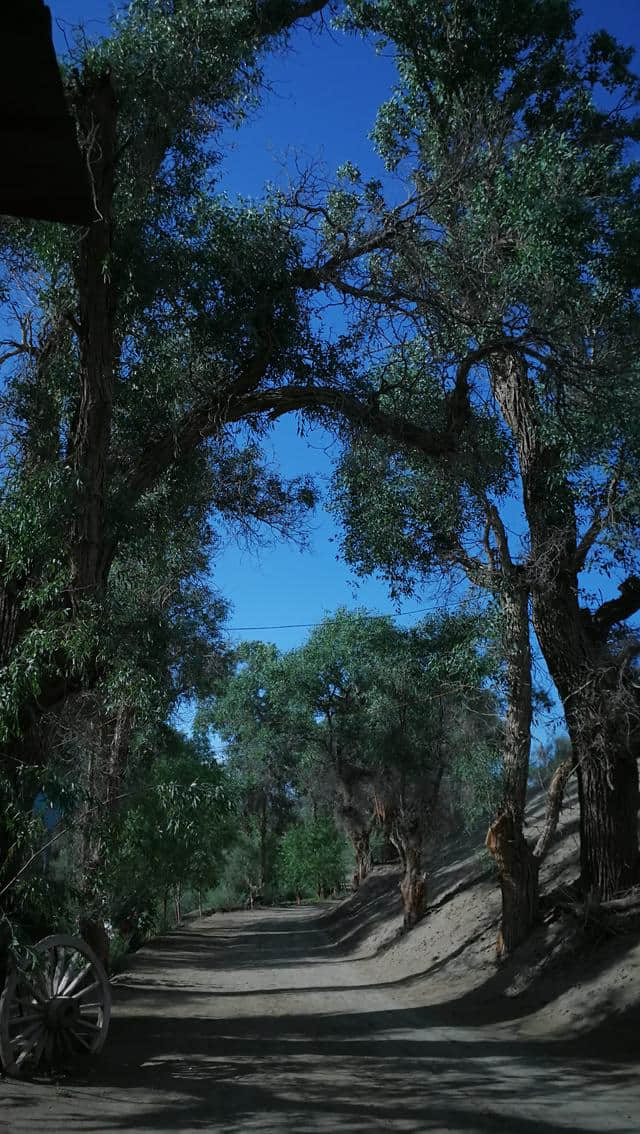 跟我一起新疆旅游（二）最接地气的南疆旅游