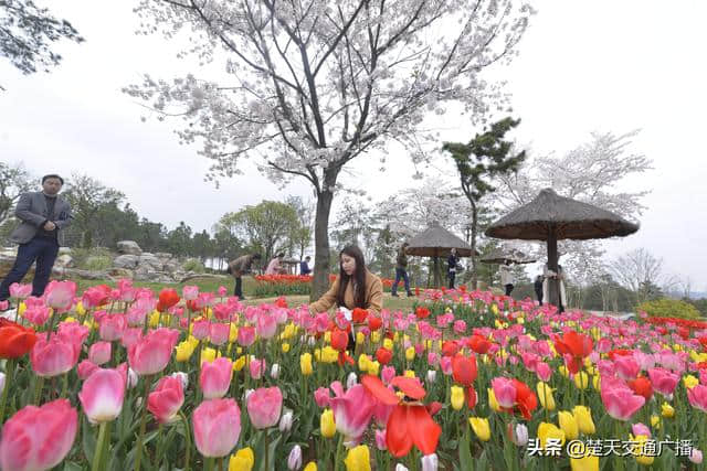 打造文旅新品牌 钟祥举办旅游短视频大赛