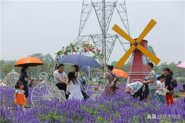 广东盈香生态园给年轻人一场青春飞扬的旅行，让90后想来就来