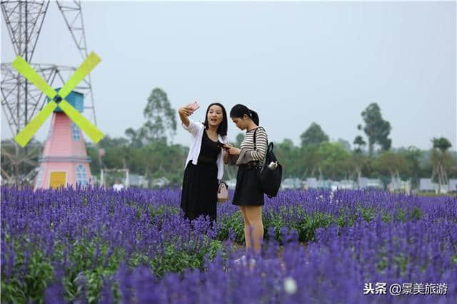 广东盈香生态园给年轻人一场青春飞扬的旅行，让90后想来就来