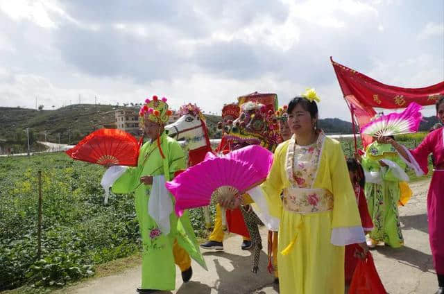 头条｜新年，仙迹桃花岛的桃花开得正好，错过了要等上一年哦！