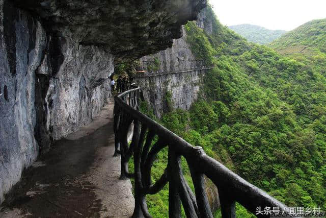 重庆市南川区境内5a景区南川金佛山绝壁栈道