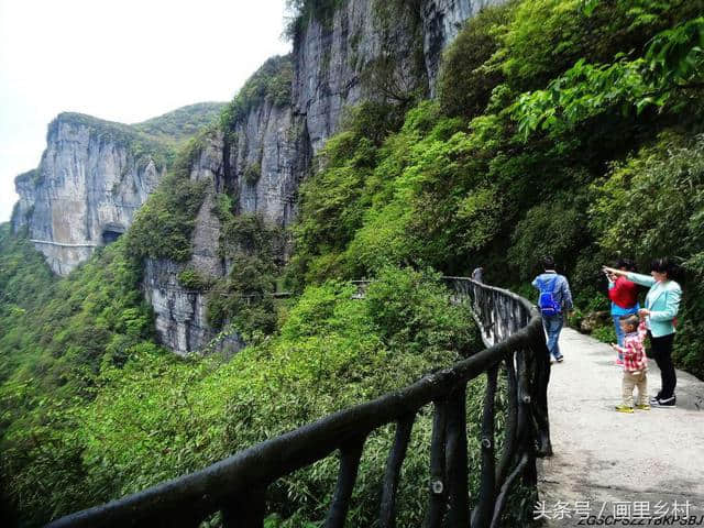 重庆市南川区境内5a景区南川金佛山绝壁栈道