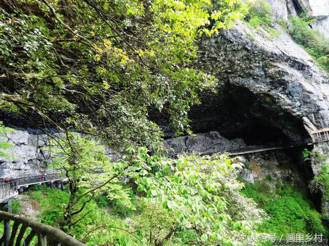 重庆市南川区境内5a景区南川金佛山绝壁栈道