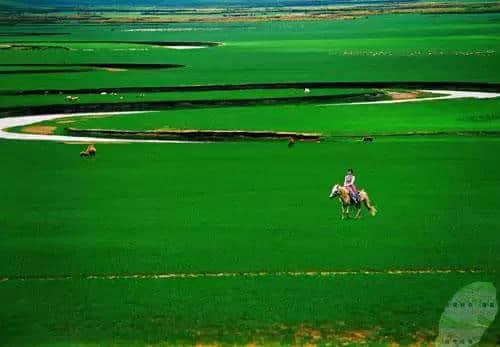 旅游 中国最美的六大草原攻略 你去过第三个吗？