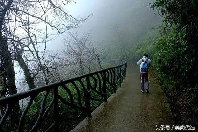 重庆金佛山景点